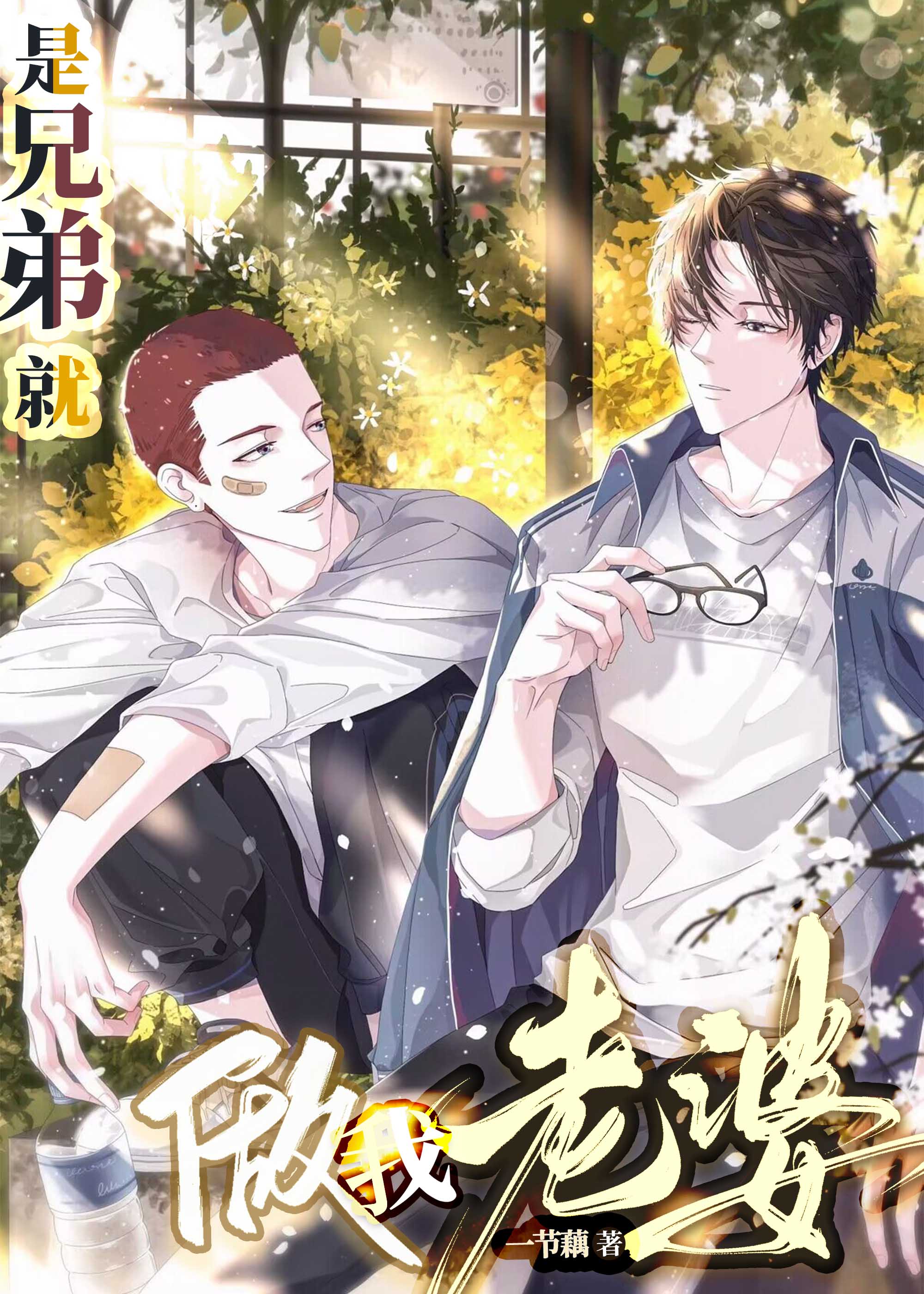 是兄弟就做我老婆!作者:一节藕免费阅读